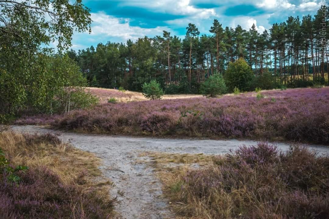 Ferienwohnung Ram 1 Hermannsburg Eksteriør billede